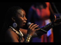 CCFM, March 2011:  (Photo by ps)