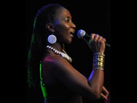 CCFM, March 2011:   (Photo by ps)